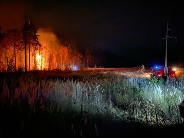 В Пензенском районе загорелся лес