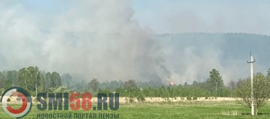 Жители Никольского района забили тревогу из-за крупного лесного пожара