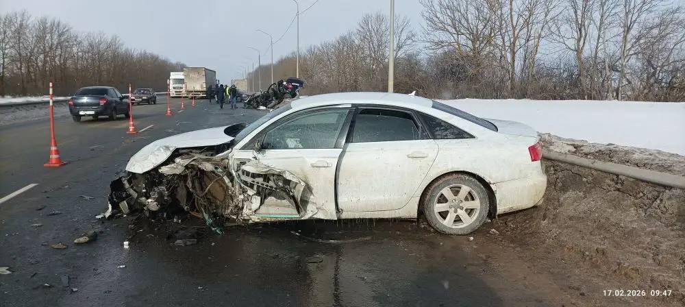 photo_2026-02-17_14-38-27.jpg photo_2026-02-17_14-38-27.jpg