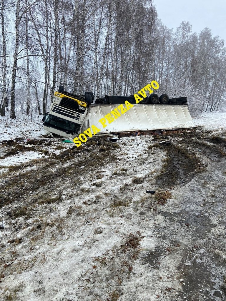 gl2Y0NZ46SE.jpg