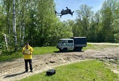 В лесах Пензенской области с начала года не допущено ни одного пожара
