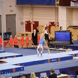 Белозерцев открыл чемпионат России по спортивной гимнастике