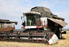Пензенские аграрии собрали первый миллион тонн зерна
