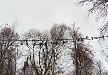 В среду в Пензенской области прогнозируется минусовая температура