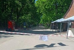 Пензенцев предупредили об акарицидной обработке Олимпийской аллеи