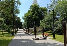 Озвучены планы по озеленению Пензы в 2026 году