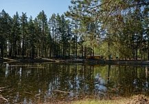 Для пензенцев доступны 28 путевок в детские лагеря