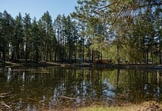 Для пензенцев доступны 28 путевок в детские лагеря
