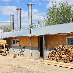 В Пензенской области набирает обороты первое в стране предприятие по производству кленового сиропа