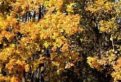 Площадь памятника природы «Семь ключей» в Пензенской области увеличилась вдвое