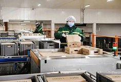 Пензенский агрокомплекс вложит 1,3 млрд рублей в производство ветчинных изделий
