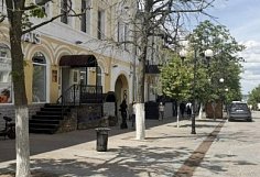 Названы сроки замены аварийных деревьев на улице Московской в Пензе
