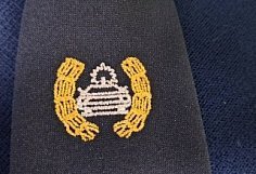 В Городищенском районе иномарка сбила лося и опрокинулась