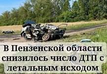 В Пензенской области за 7 месяцев возбудили 26 уголовных дел о смертельных ДТП