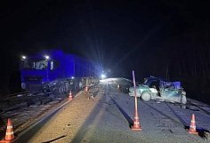 В ДТП с двумя грузовиками в Нижнеломовском районе погиб мужчина