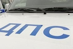Три человека пострадали в ДТП с «Грантой» и лосем в Бессоновском районе