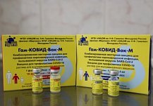 Пензенская область получила 800 комплектов вакцины «Спутник-М»