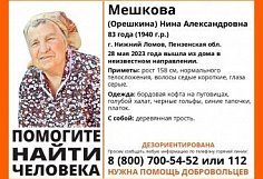 В Нижнем Ломове пропала 83-летняя Нина Мешкова