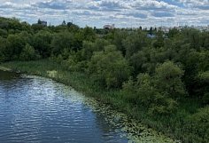 В Пензенской области с 13 по 16 июня объявлен желтый уровень опасности из-за угрозы лесных пожаров