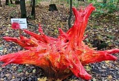 Пожароопасный сезон в Пензенской области продлен