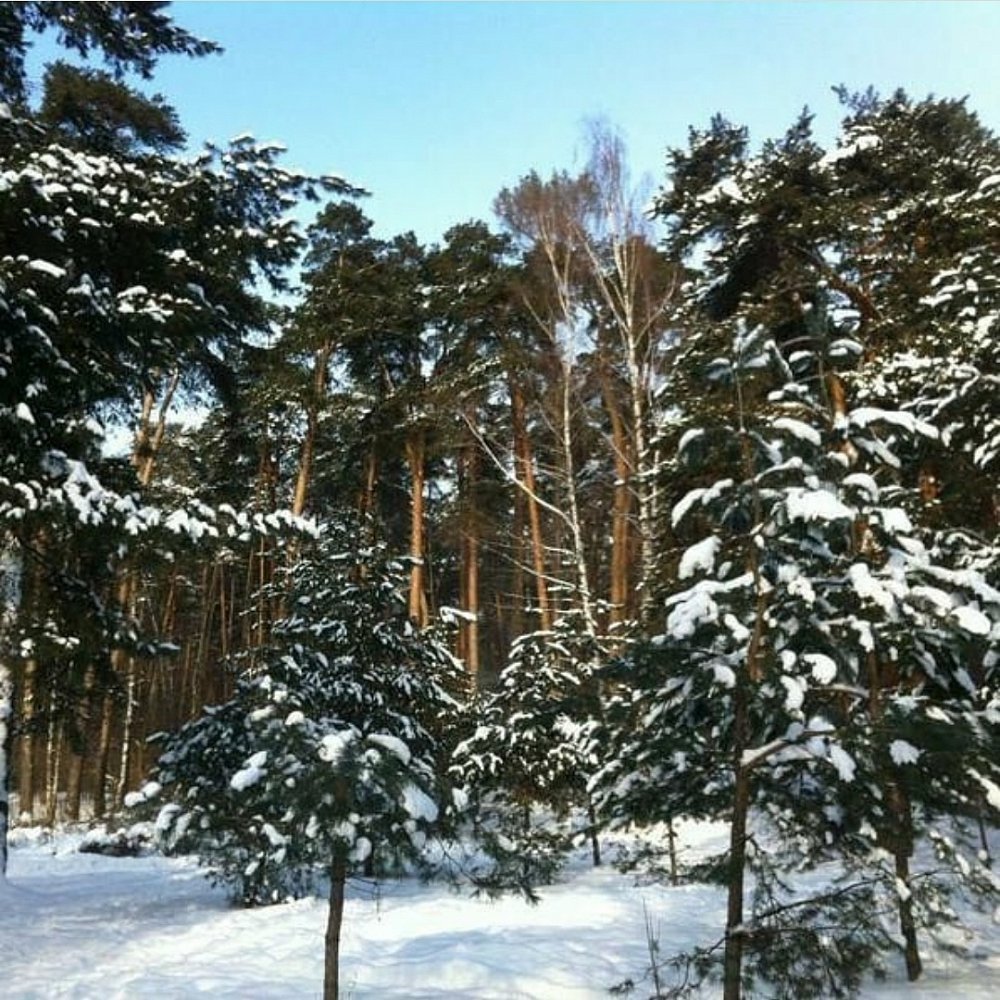 Иван Белозерцев предложил пензенцам показать любимые места области