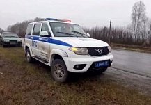 В Колышлейском районе инспектор ДПС помог водителю с ребенком