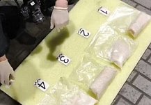 В Пензенской области задержали наркокурьера с маламутом