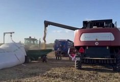 Пензенские аграрии отчитались о сборе первого миллиона тонн зерна