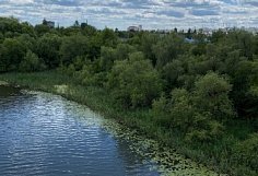 В Лунинском районе инспекторы пресекли нарушения в заказнике «Ломовский» и у озера Чапчор