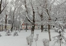 В субботу в Пензенской области прогнозируется сильный снег и до -10ºС