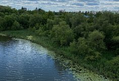 В Пензенской области лесные инспекторы пресекли 10 нарушений за неделю