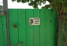 В Пензе из-за стаи собак на улице Кижеватова возбудили уголовное дело