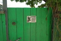 В Пензе из-за стаи собак на улице Кижеватова возбудили уголовное дело