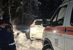 Спасатели, полицейские и инспекторы ДПС искали троих заблудившихся в бессоновском лесу