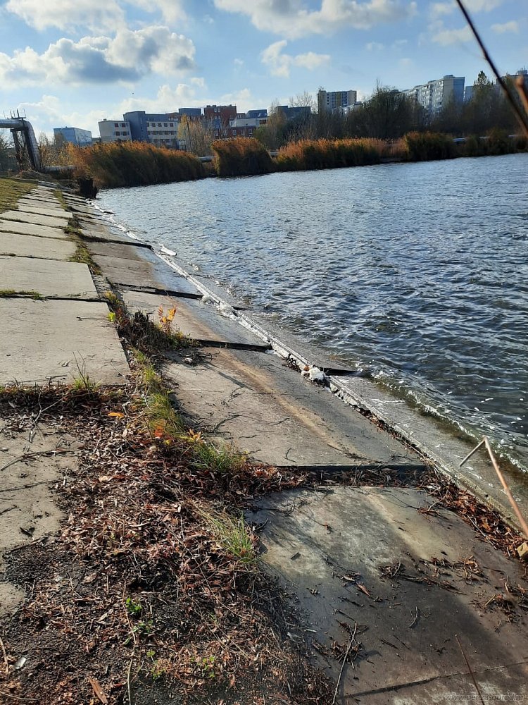 Жители Пензы заметили странную пену на пруду у городской больницы №6