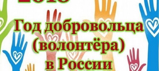 Год волонтера итоги