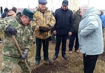 Более 100 деревьев обрели новую жизнь в Шемышейке