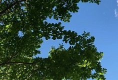 Жителей Пензенской области зовут на генеральную уборку рек и берегов