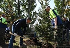 Проект «Зеленая Пенза» пришел к памятнику УРАЛ-ЗИСу на улице Измайлова