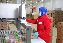 Пензенская область первой в России наладила экспорт индейки в Малайзию