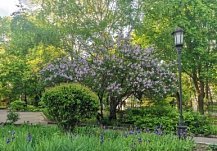 В Пензе выбрали претендентов на благоустройство в 2027 году