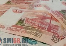 Пензенские самозанятые взяли в кредит у «Поручителя» более 215 млн рублей