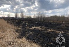 В Пензенской области зафиксированы первые случаи возгорания сухой травы