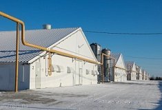 В Большой Елани открыт второй птицеводческий блок