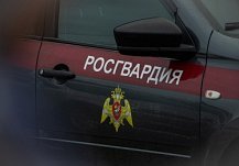 В магазине на улице Суворова Пензе задержали 17-летнего дебошира