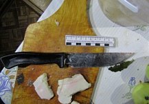Жительница Пензы ударила возлюбленного ножом на застолье в Мокшане
