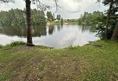 В пруду в Бессоновском районе утонула 48-летняя женщина
