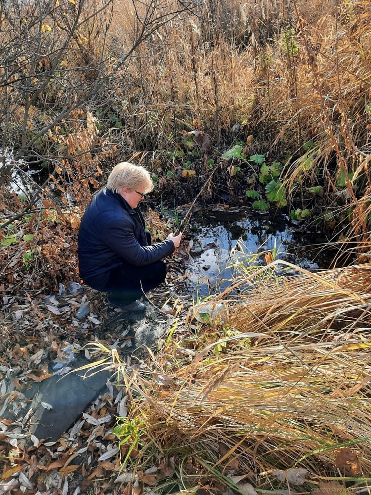 Жители Пензы заметили странную пену на пруду у городской больницы №6