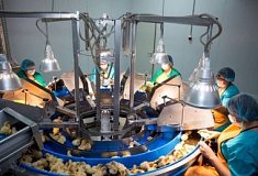 Мясо индейки из Пензенской области начали поставлять на Филиппины