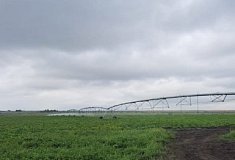 Картофель для чипсов в Пензенской области будет поливать новая оросительная система